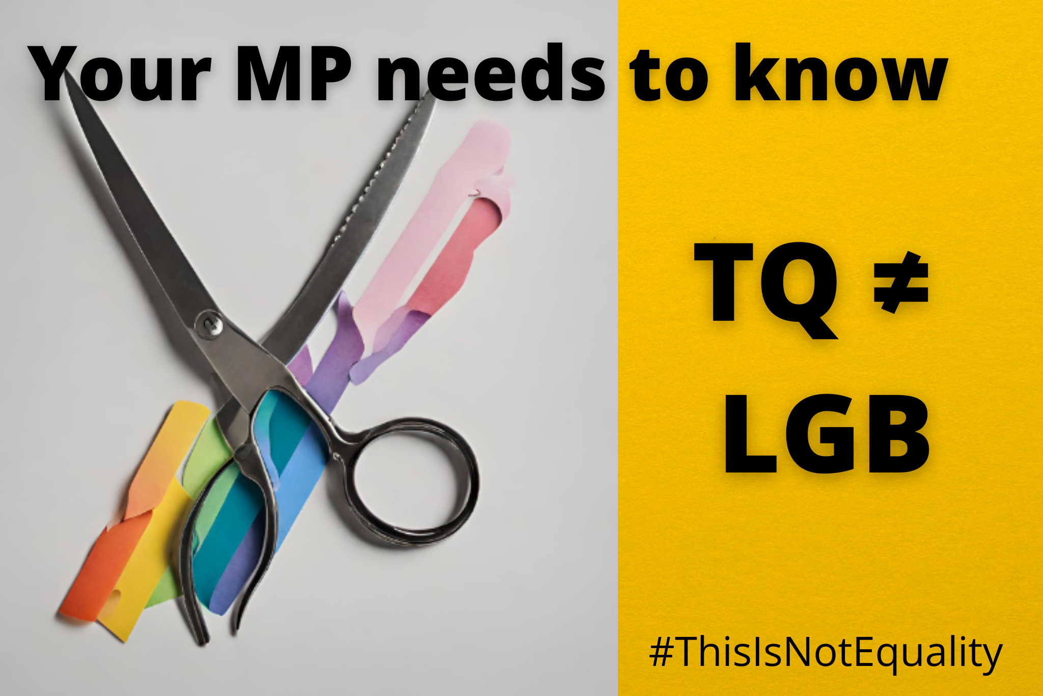 Tell your MP: TQ is not LGB