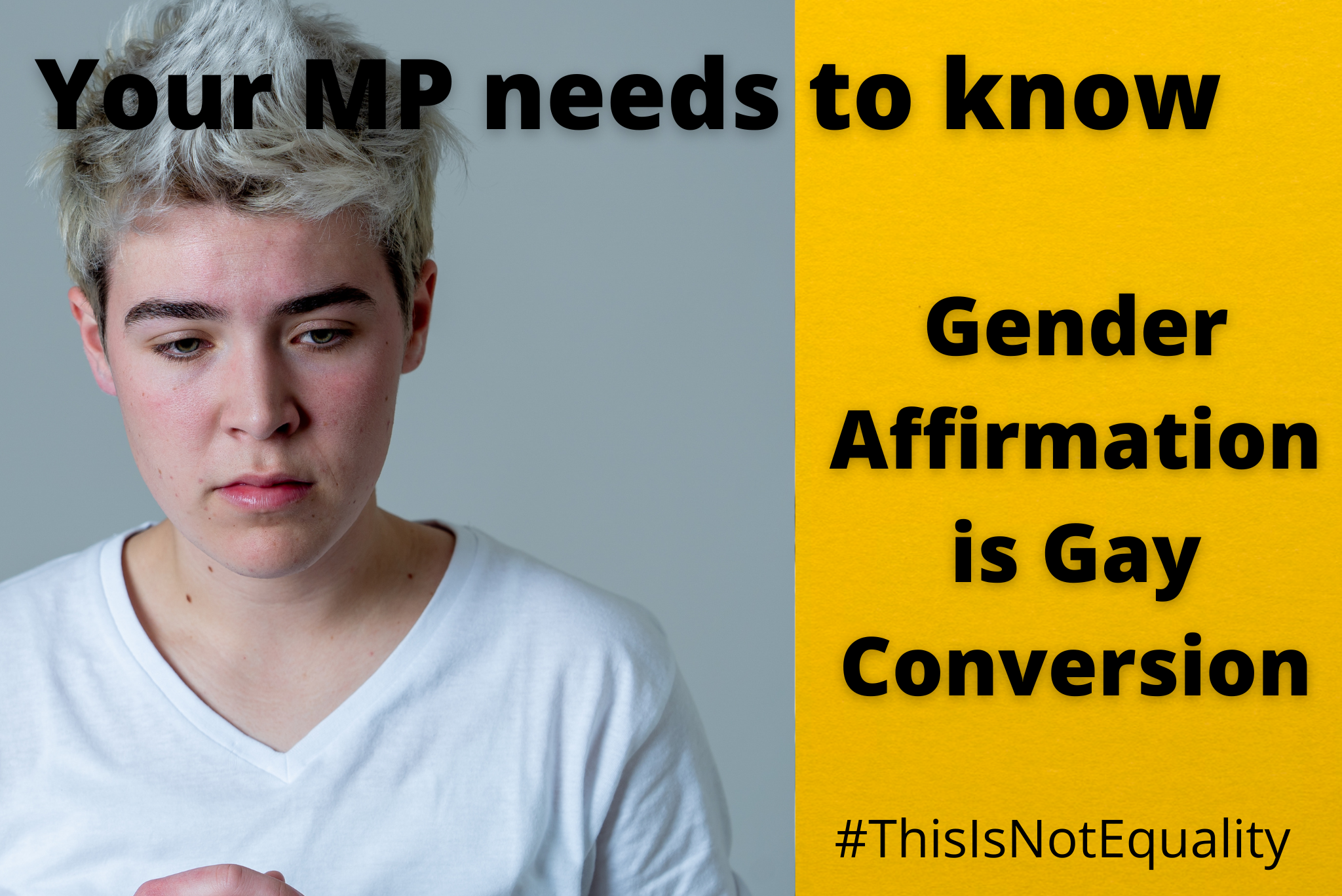 Tell your MP: Gender Identity Affirmation is Gay Conversion