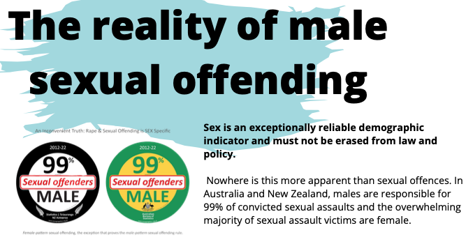 The Reality of Male Sexual Offending